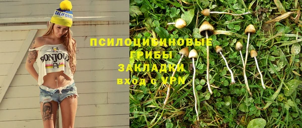 бутират Каменск-Шахтинский