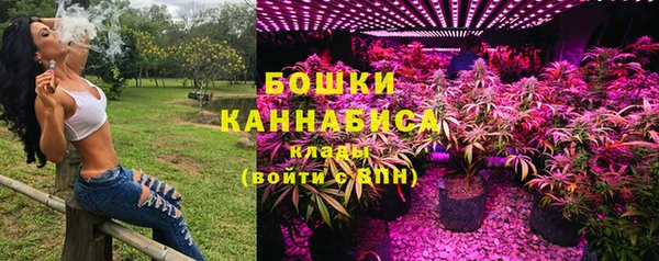 бутират Инсар