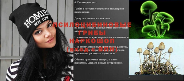 бутират Инсар