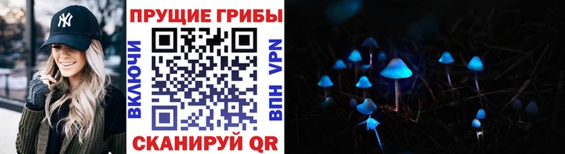 Галлюциногенные грибы Magic Shrooms  Купить где  Зима 